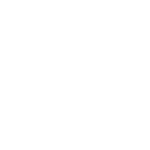 JD Shop